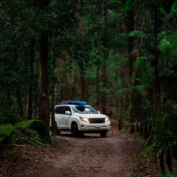 Najczęstsze mity o napędzie 4×4: co jest prawdą, a co fałszem?